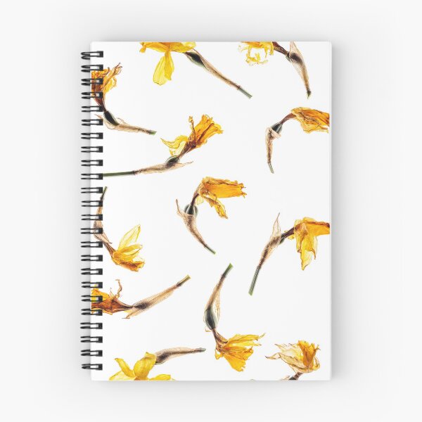 Item preview, Dried Daffodil Flowers designed and sold by Richard Nixon.