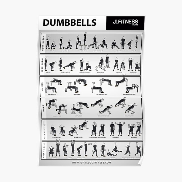 Dumbbell Training- 31 Illustrated Exercises Poster