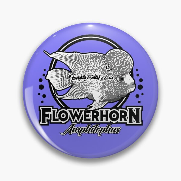 Item preview, Flowerhorn Cichlid - Amphilophus Tropical Aquarium Fish b/w designed and sold by TheAplus.