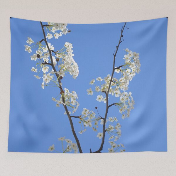 Item preview, Sunny Plum Blossom - Nature designed and sold by joejiing.
