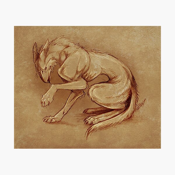 Common Griefler - Artwork 2 Photographic Print