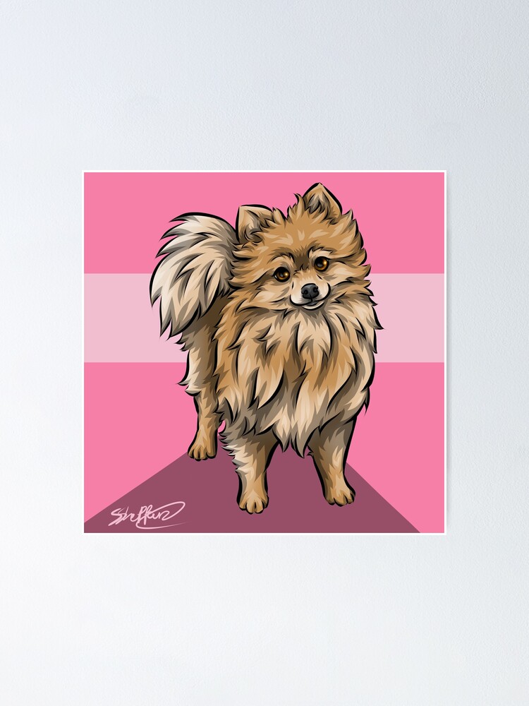 rosa Pomeranian