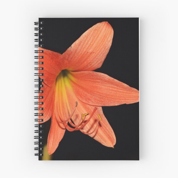 Item preview, Orange Lily Flower  designed and sold by belvederestore.