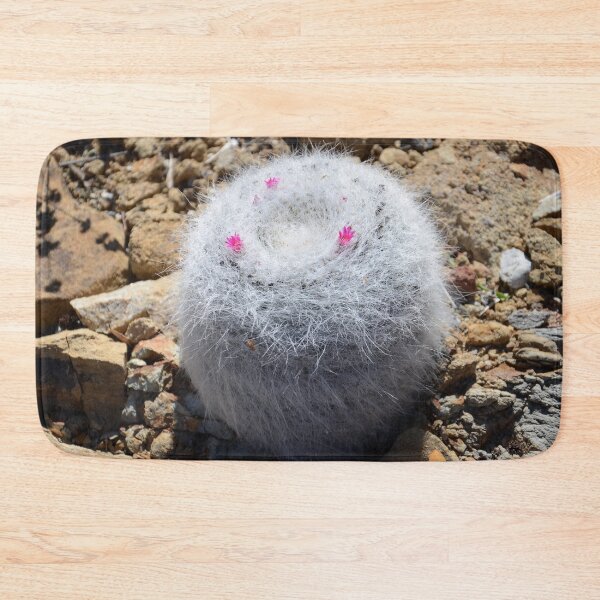 Item preview, White Cactus Ball - Nature designed and sold by joejiing.