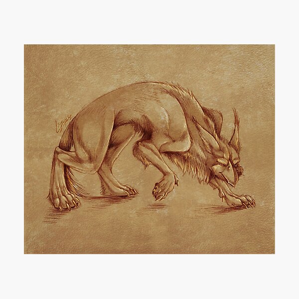 Common Griefler - Artwork 3 Photographic Print