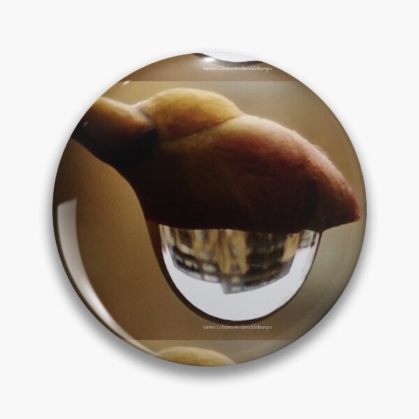 Awake series photography by Yannis Lobaina Pin
