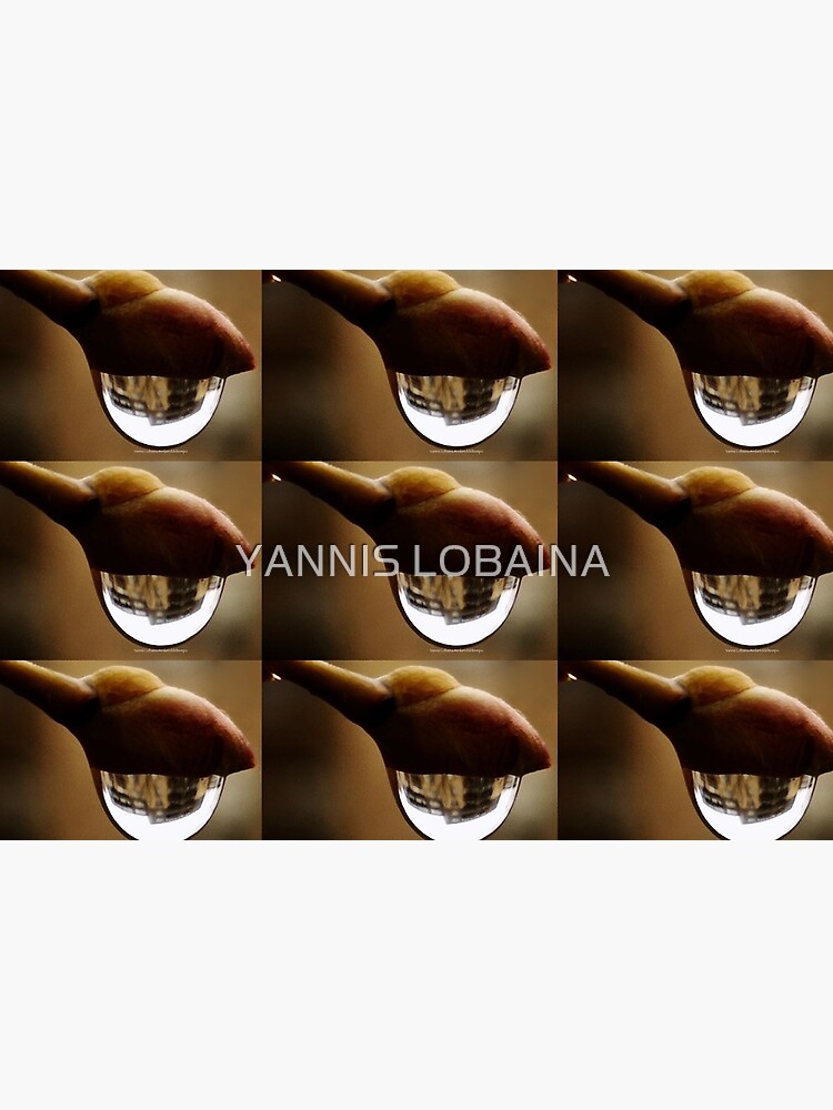 Awake series photography by Yannis Lobaina by lobaina1979