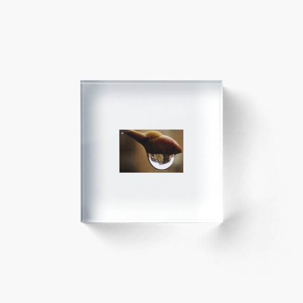 Awake series photography by Yannis Lobaina Acrylic Block