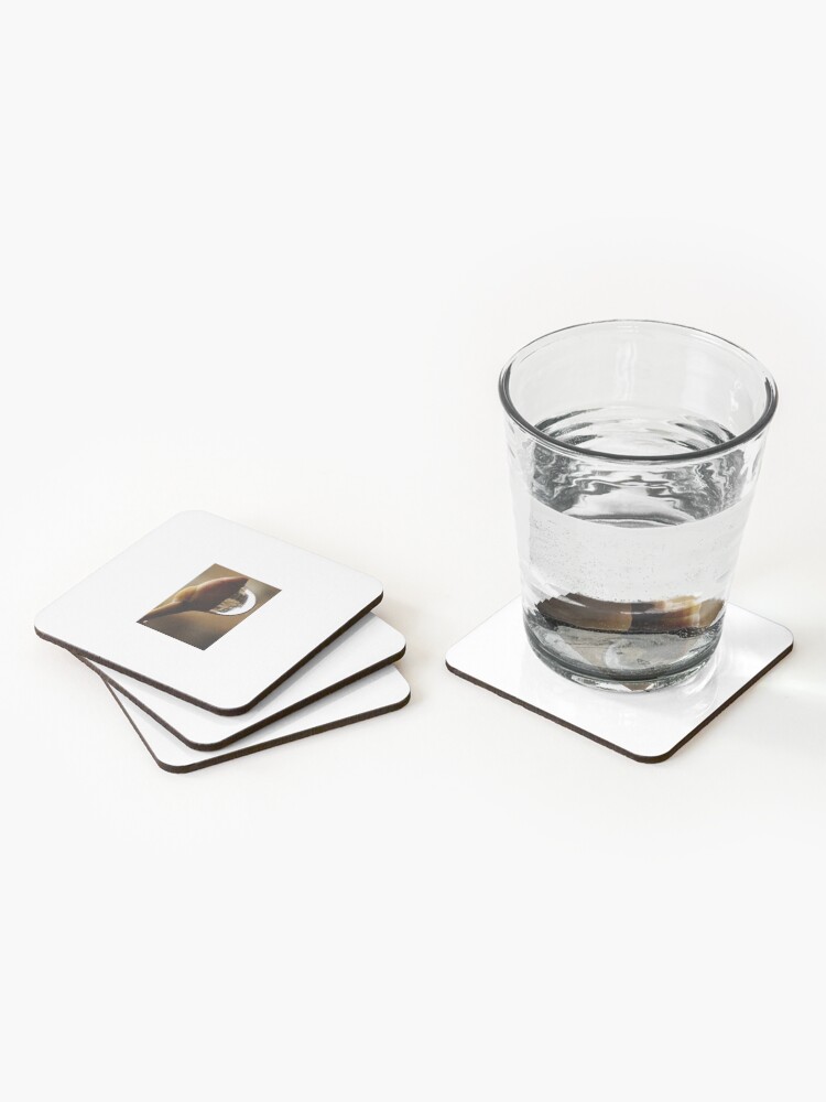 Alternate view of Awake series photography by Yannis Lobaina Coasters (Set of 4)