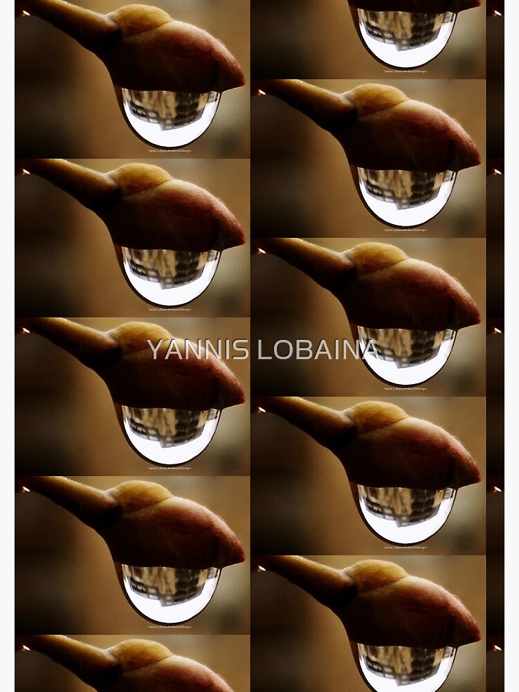 Awake series photography by Yannis Lobaina by lobaina1979