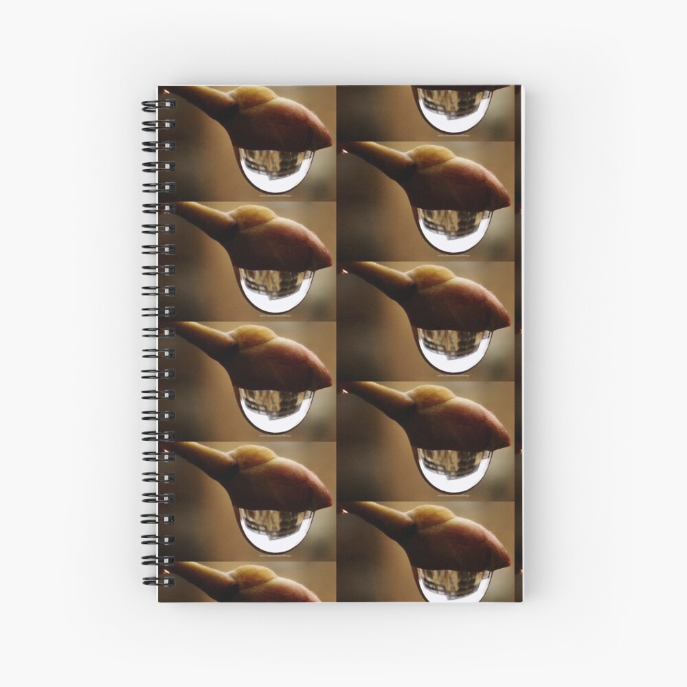 Awake series photography by Yannis Lobaina Spiral Notebook