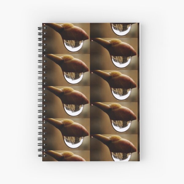 Awake series photography by Yannis Lobaina Spiral Notebook