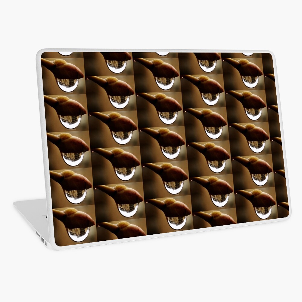 Awake series photography by Yannis Lobaina Laptop Skin