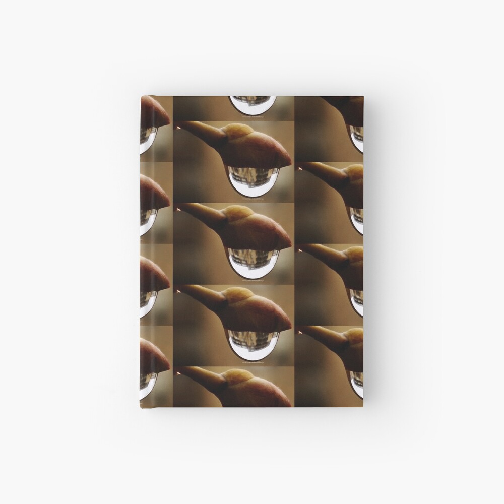Awake series photography by Yannis Lobaina Hardcover Journal