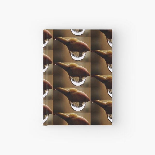 Awake series photography by Yannis Lobaina Hardcover Journal