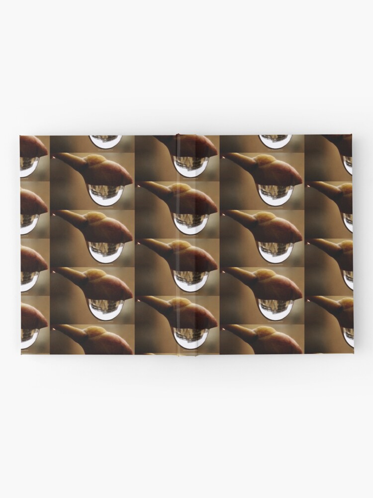 Alternate view of Awake series photography by Yannis Lobaina Hardcover Journal