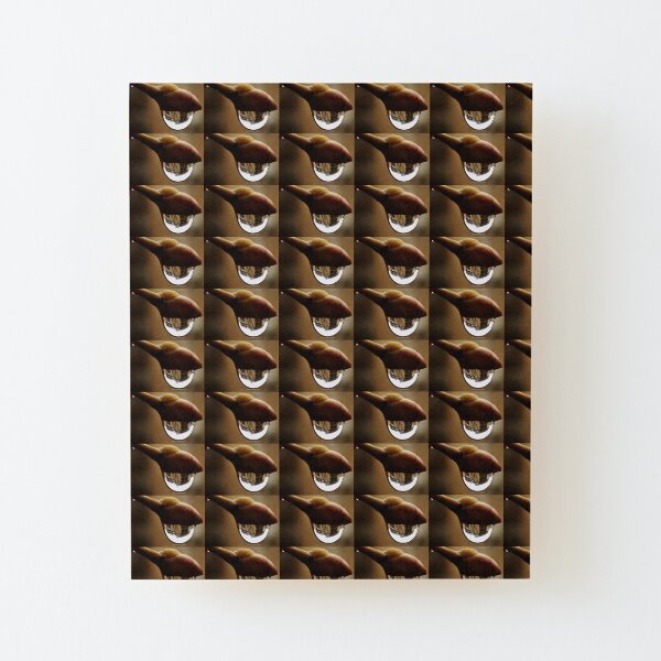 Awake series photography by Yannis Lobaina Wood Mounted Print
