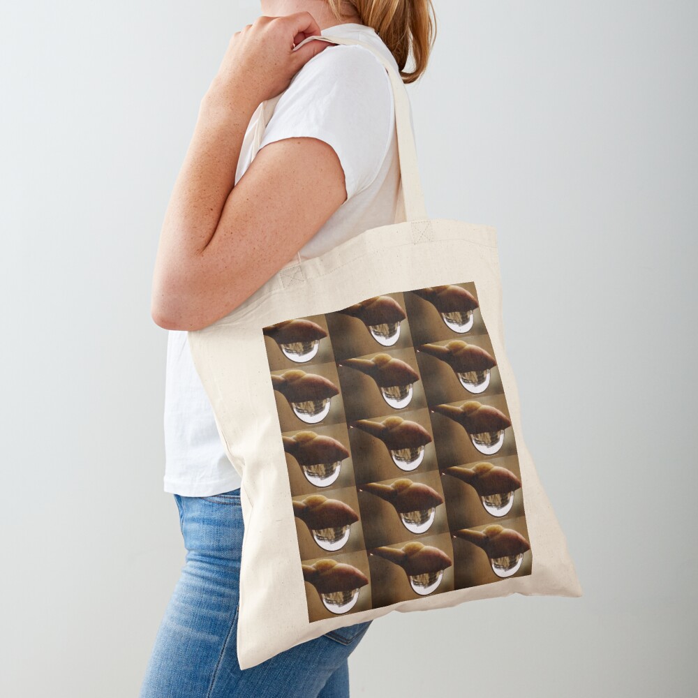 Awake series photography by Yannis Lobaina Tote Bag