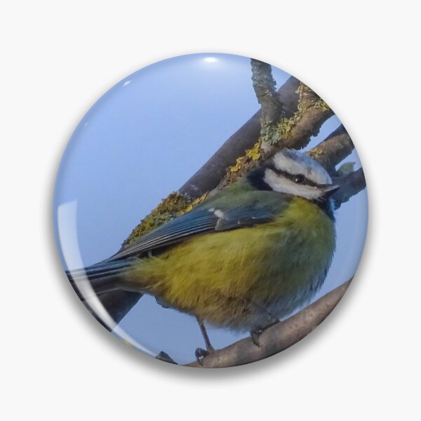 Item preview, Beautiful blue tit designed and sold by KcsArt87.