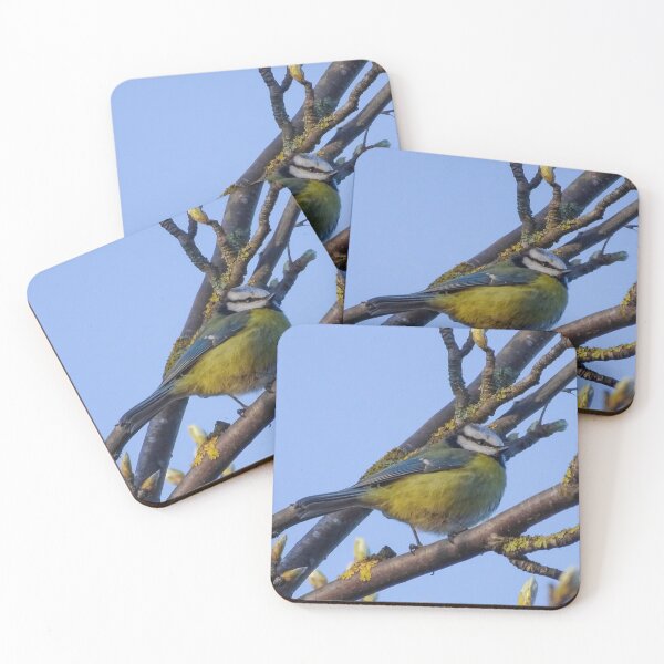 Item preview, Beautiful blue tit designed and sold by KcsArt87.