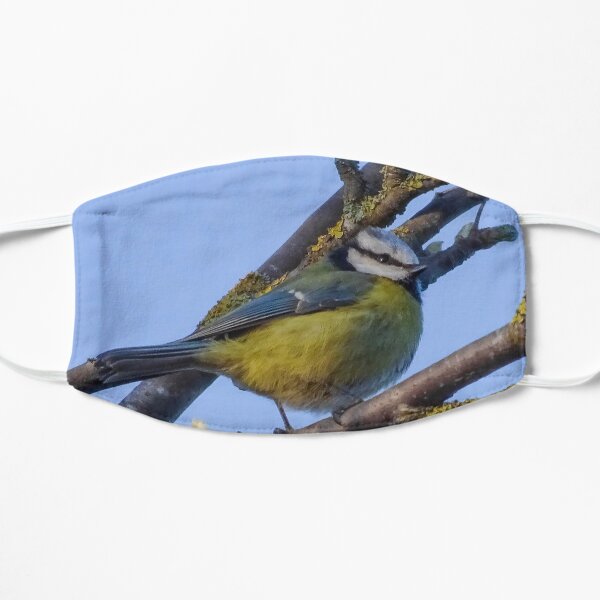 Beautiful blue tit Flat Mask
