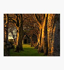 church yard Photographic Print
