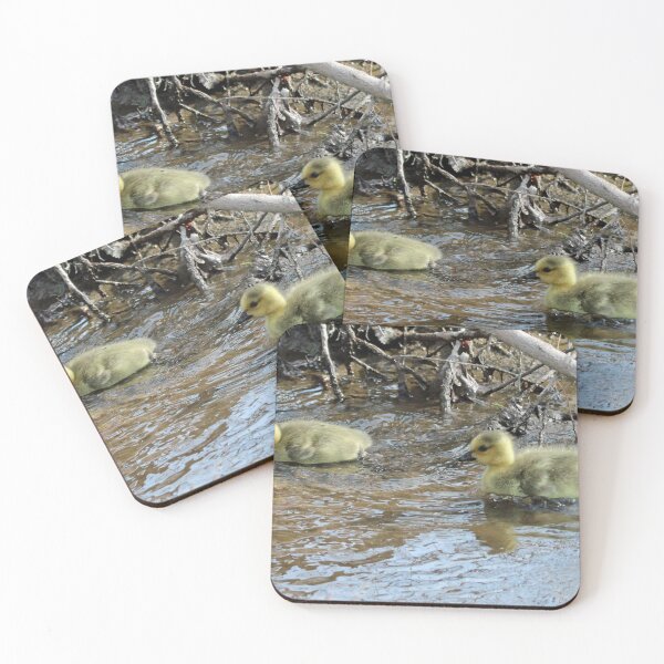 Item preview, Goslings Swimming designed and sold by Susie Kramer.