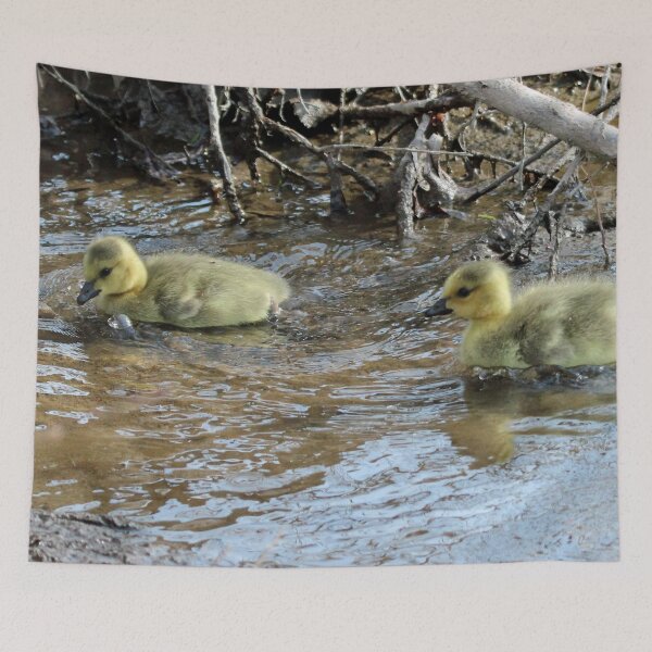 Item preview, Goslings Swimming designed and sold by Susie Kramer.