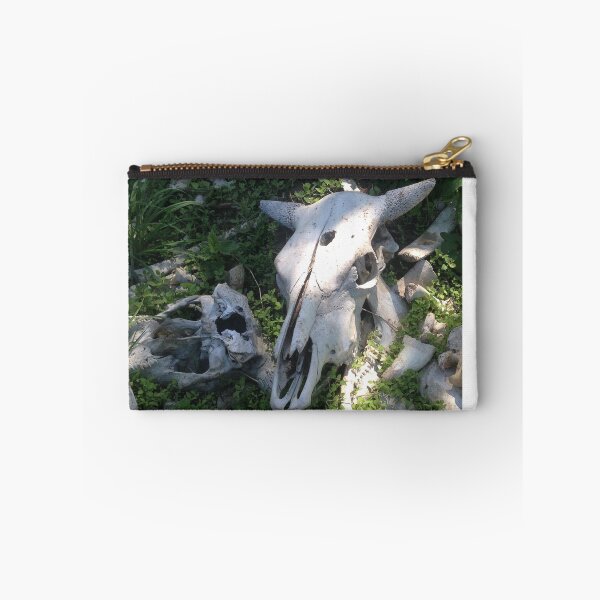 Item preview, Cow skull picked clean in a boneyard at a Wild Boar Lure in Estonia designed and sold by blueyonderdave.