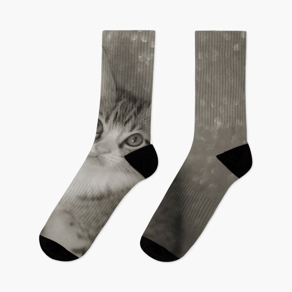 Item preview, Cat designed and sold by anafrancisconi.