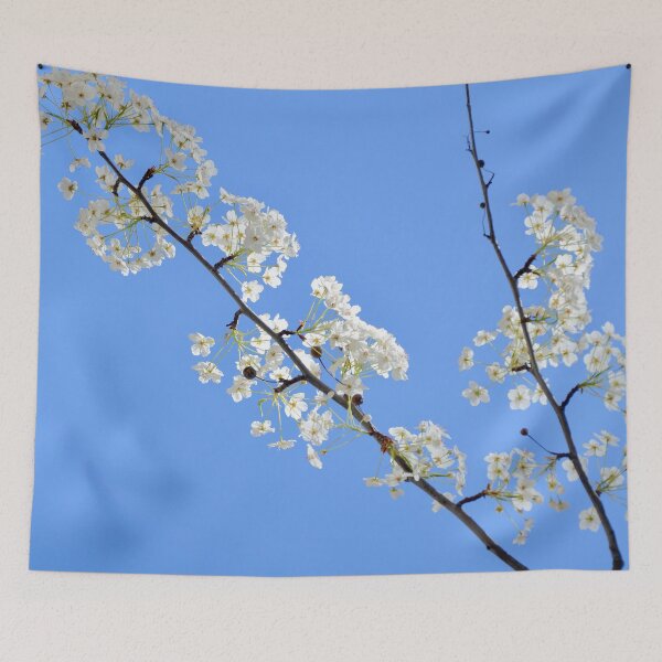 Item preview, Sunny Plum Blossom Variation 2 - Nature designed and sold by joejiing.