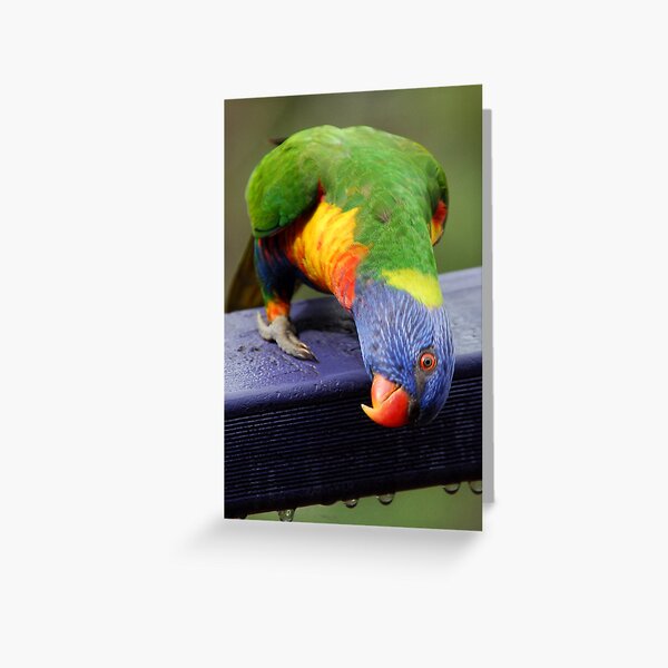 A new perspective Greeting Card