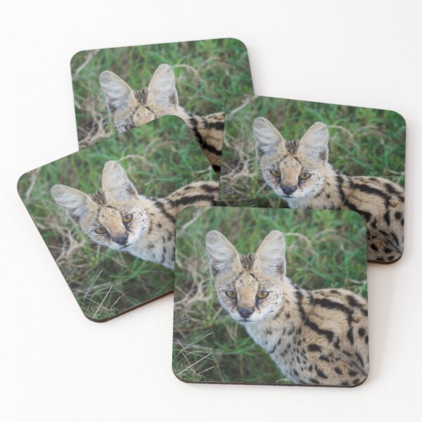 Item preview, Serval designed and sold by Yves Roumazeilles (Wild Focus).