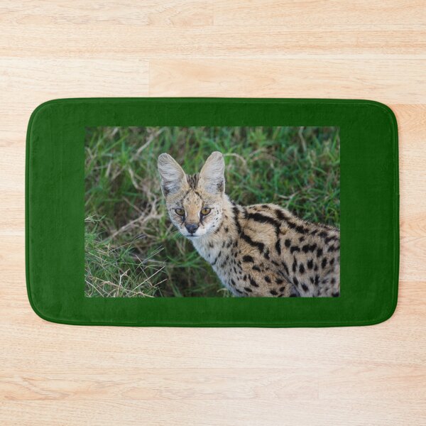 Item preview, Serval designed and sold by Yves Roumazeilles (Wild Focus).