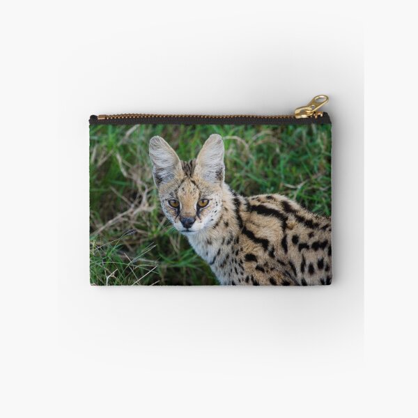 Item preview, Serval designed and sold by Yves Roumazeilles (Wild Focus).
