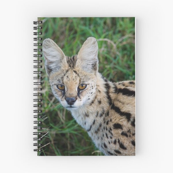 Item preview, Serval designed and sold by Yves Roumazeilles (Wild Focus).