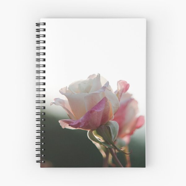 Item preview, Hybrid Tea Rose - Flower designed and sold by anafrancisconi.