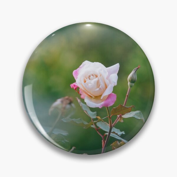 Item preview, Hybrid Tea Rose - Flower designed and sold by anafrancisconi.