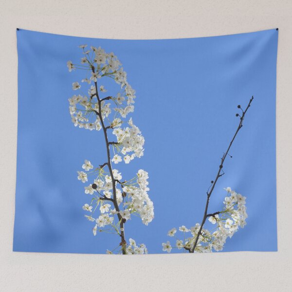 Item preview, Sunny Plum Blossom Variation 3 - Nature designed and sold by joejiing.