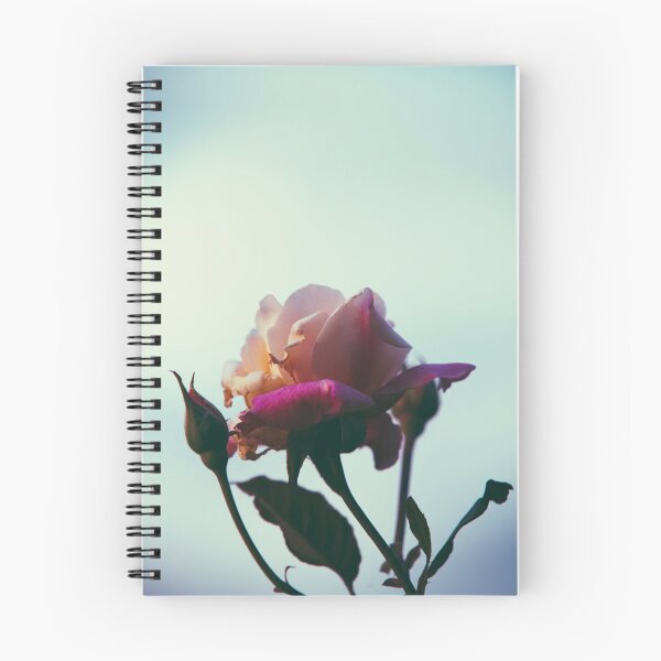 Item preview, Hybrid Tea Rose - Flower designed and sold by anafrancisconi.