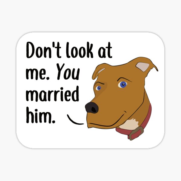 Do Not Look At Me. You Married Him. Sticker
