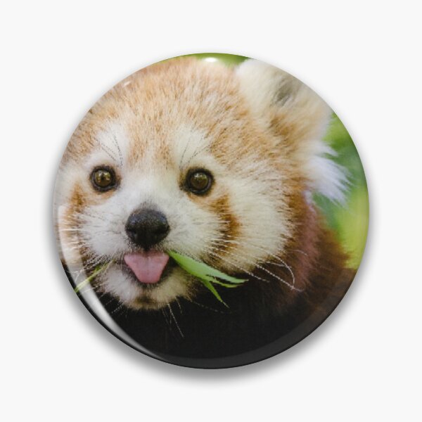 Item preview, Cute designed and sold by Aremanda KIRAN.