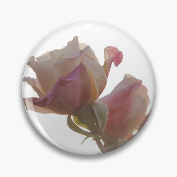 Item preview, Hybrid Tea Rose - Flower designed and sold by anafrancisconi.