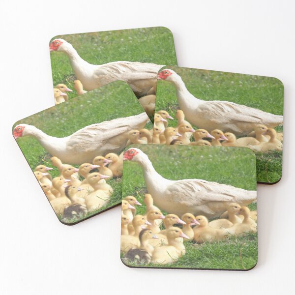 Item preview, protecting designed and sold by Aremanda KIRAN.