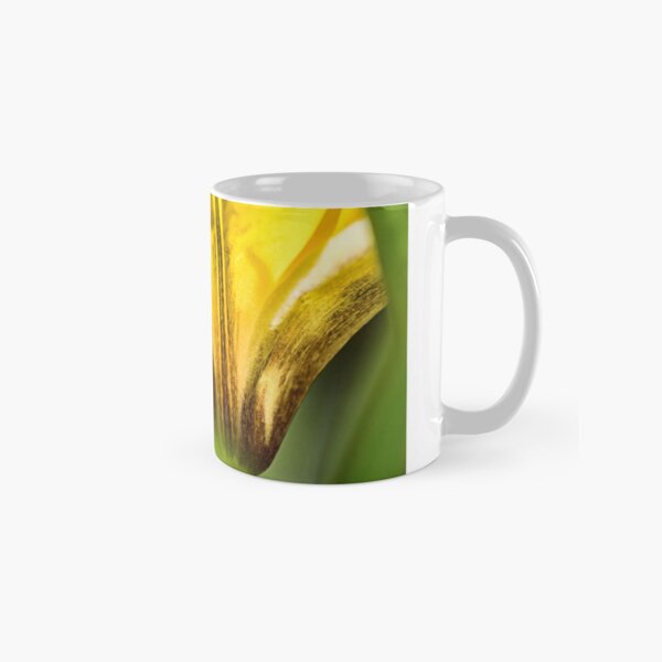 tourné au printemps (mars ou avril) au milieu des herbes avec un brin d'herbe Mug classique