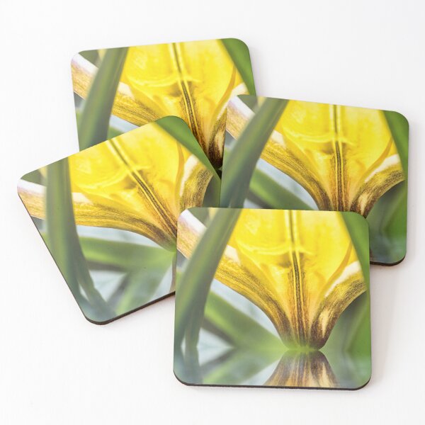 Item preview, Water reflection of beautiful tulipa tarda yellow flower in macro designed and sold by Grégory DUBUS.