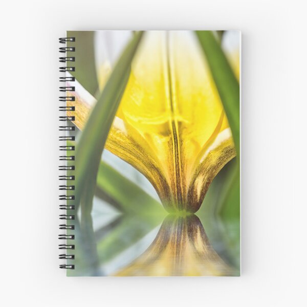 Item preview, Water reflection of beautiful tulipa tarda yellow flower in macro designed and sold by Grégory DUBUS.
