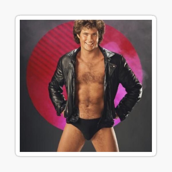 David hasselhoff Sticker
