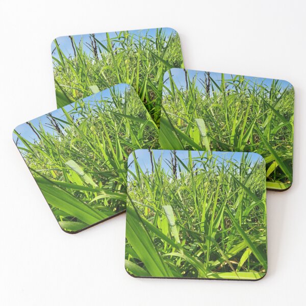 Item preview, In the grass designed and sold by Amanda Huggins.