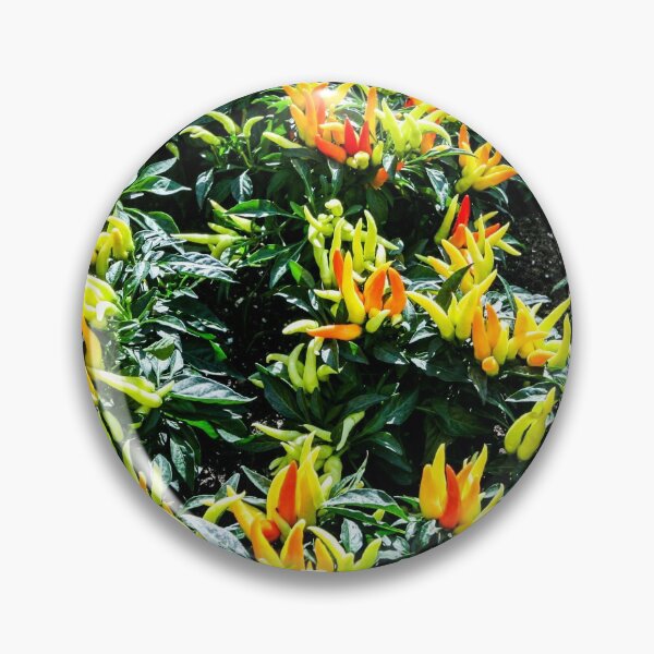 Item preview, Ornamental Pepper Plants designed and sold by QuackerSnaps.